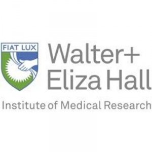 Walter and Eliza Hall Institute Enroll Patients on Potential Cure for Hepatitis B Trial