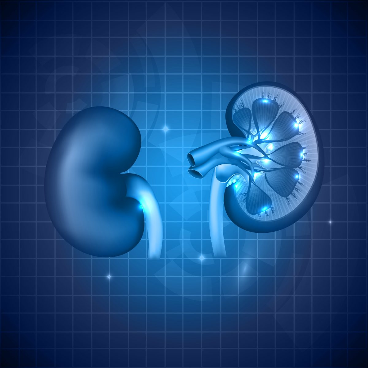 Better Kidney Transplant Outcomes Found Among HIV Patients in Comparison to Hepatitis C Patients