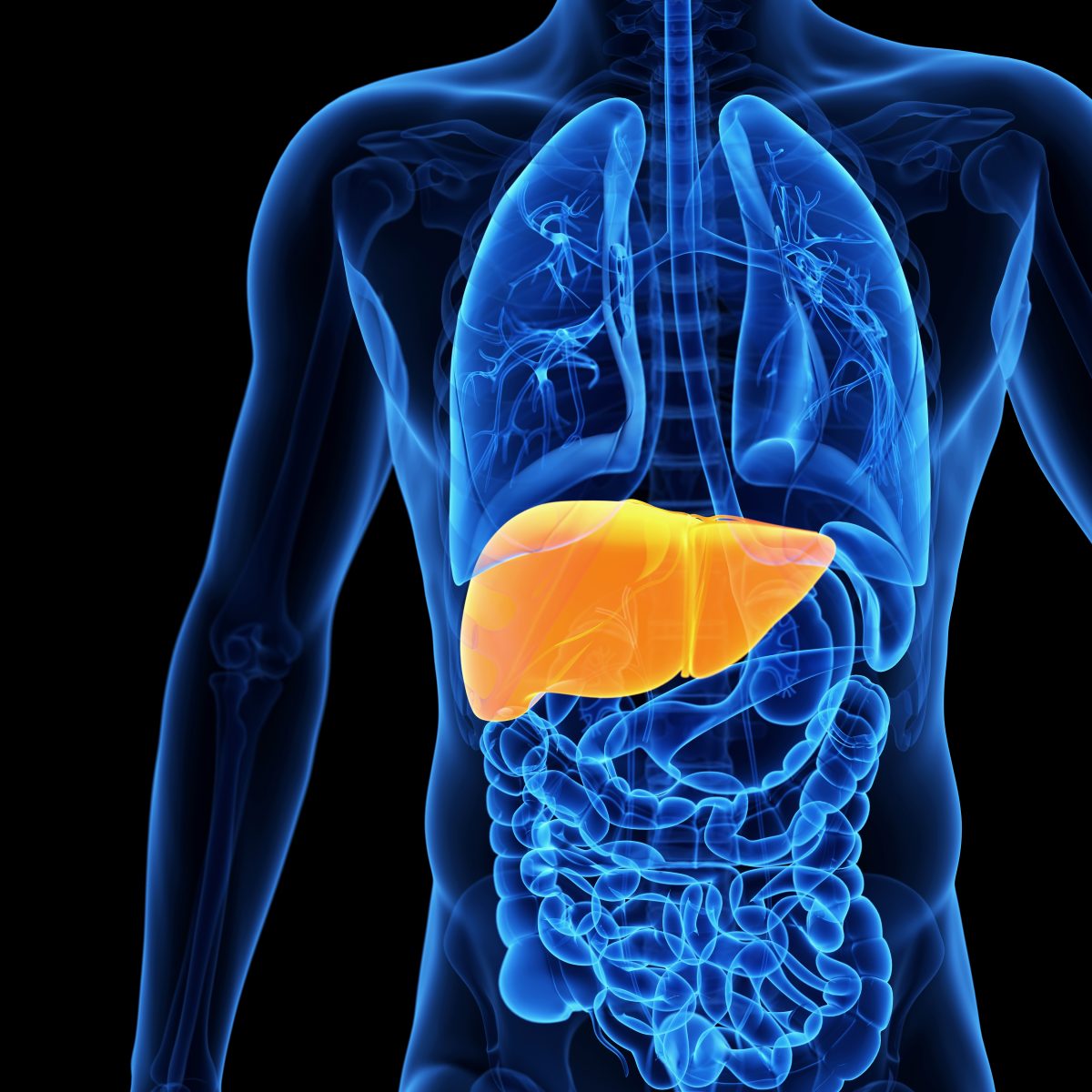 Gilead’s Drugs Harvoni and Sovaldi Prove to Be Safe and Effective in Patients with Advanced Liver Disease Associated with HCV