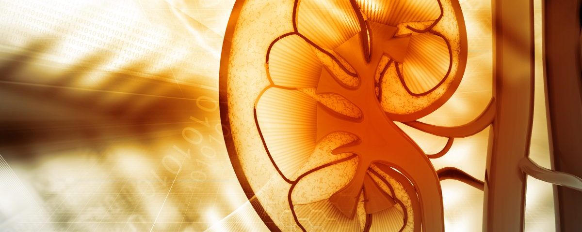 Doctors Transplant Kidneys with Hepatitis C, Then Cure Recipients’ Infection