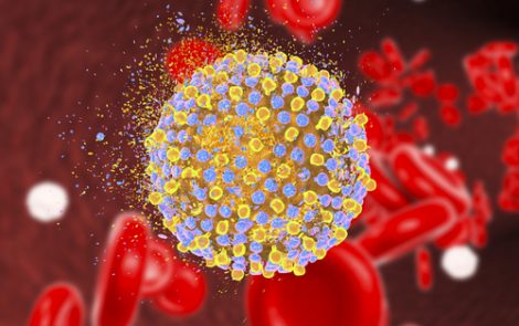 Hepatitis C Hijacks Signaling-Pathway Proteins to Survive, Grow in the Body, Study Reports